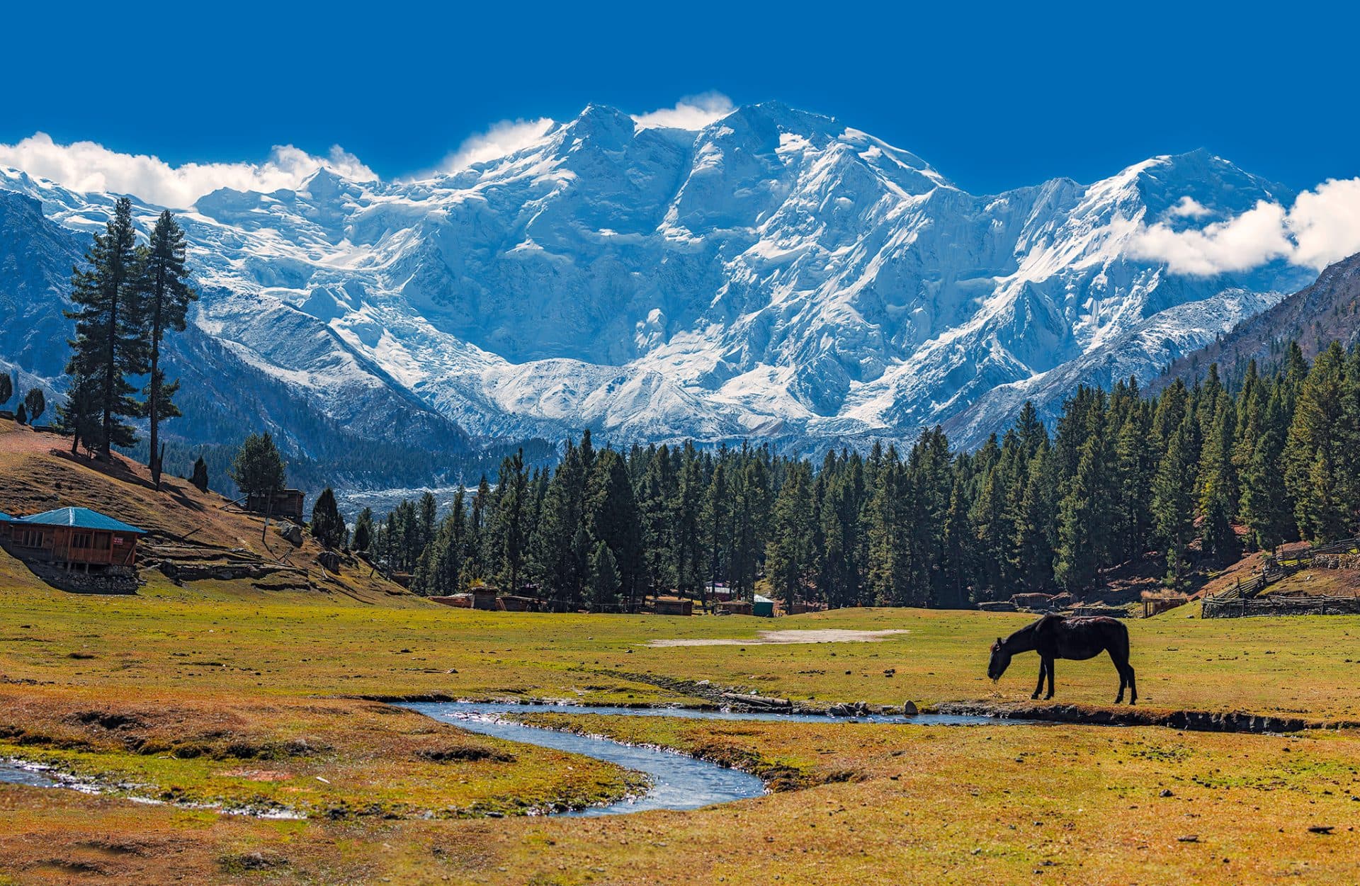 The 14 Tallest Mountains in the World: Heights, Facts & Climbing Realities