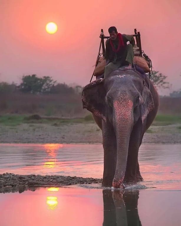 Chitwan