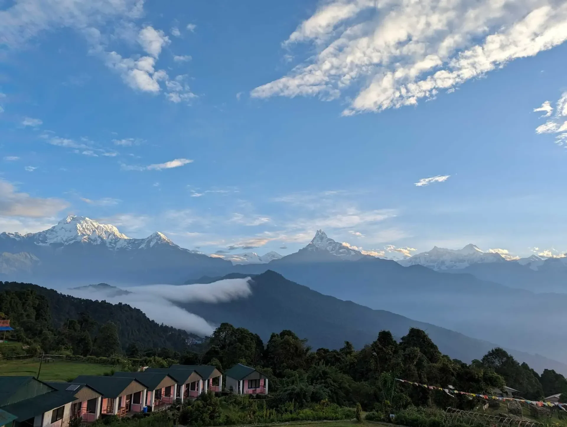 A wide panoramic morning view of the snow-capped Annapurna South, Hiunchuli, and Machhapuchhre mountains above a layer of low valley clouds, as seen from a row of pink cottages at Australian Camp.