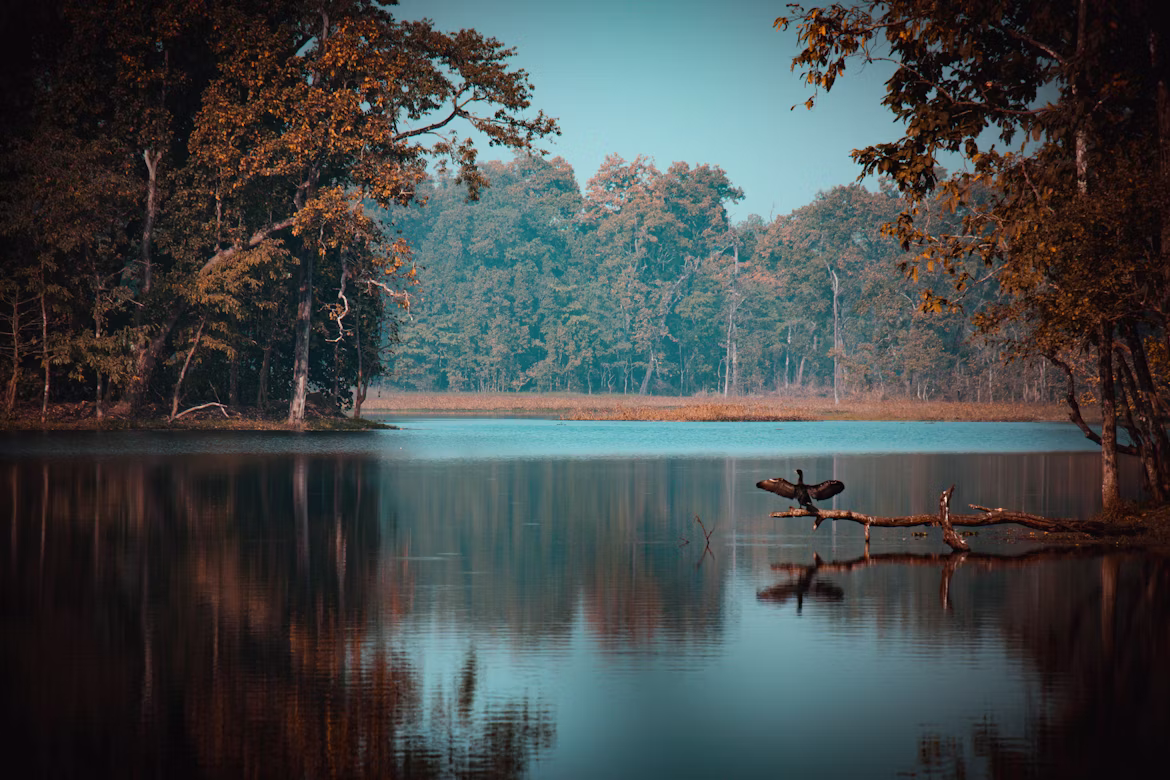 river_in_chitwan_national_park