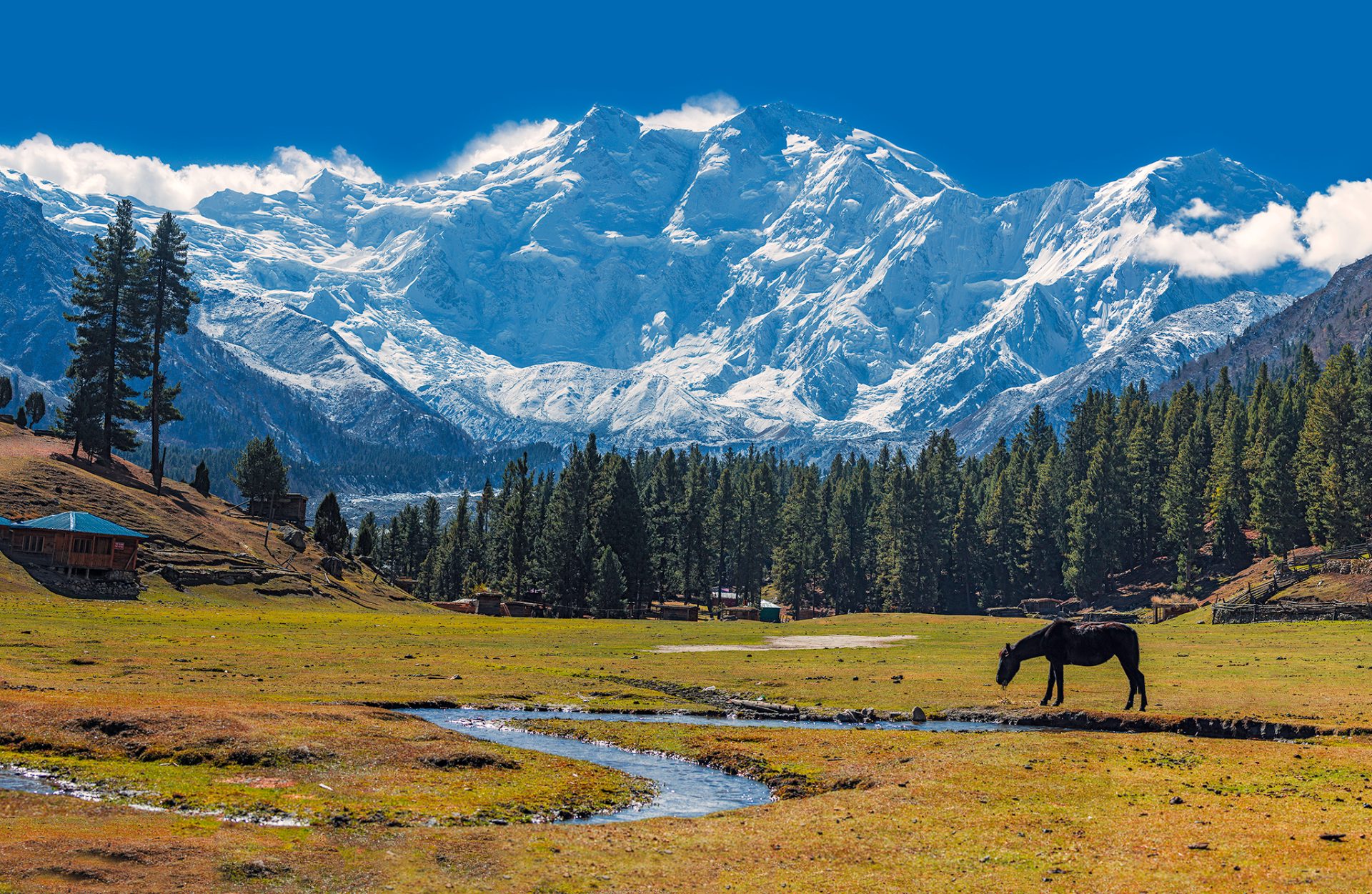 The 14 Tallest Mountains in the World: Heights, Facts & Climbing Realities