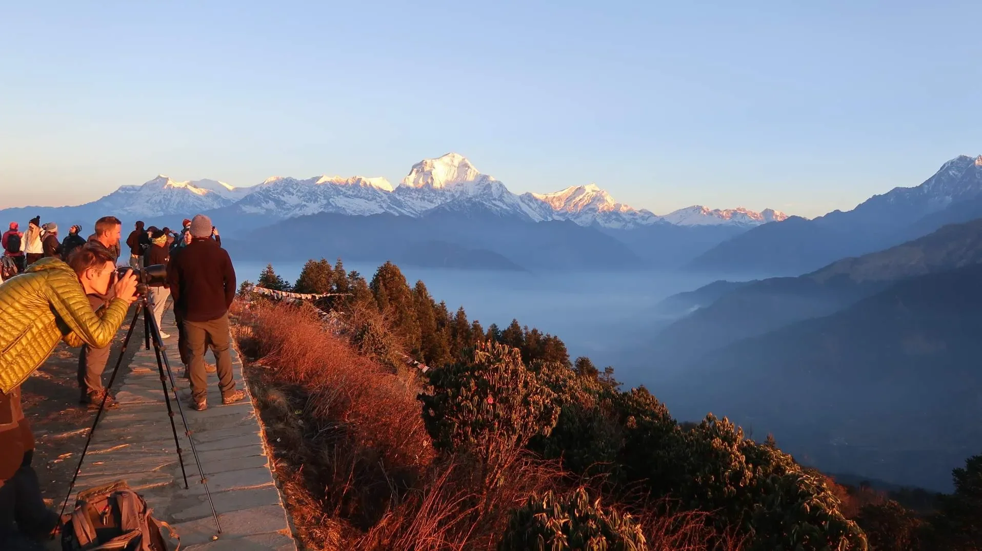 A group of trekkers and photographers standing on a stone pathway at Poon Hill viewpoint during sunrise, looking out at the snow-capped peaks of Dhaulagiri and the Annapurna massif glowing with golden morning light over a layer of low valley fog.  Caption Options