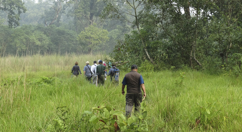 Chitwan Jungle Safari