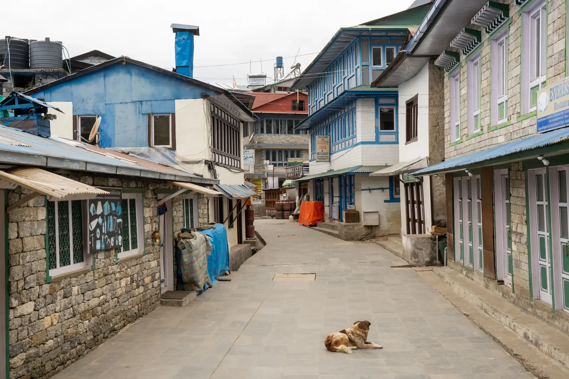 A quiet stone street in Namche Bazaar lined with traditional colorful Sherpa lodges and a dog resting on the pavement