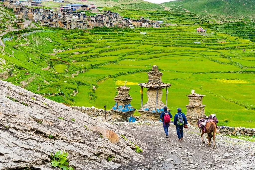 Two hikers with backpacks and a loaded pack horse walking past traditional stone chortens toward the lush green terraced fields of Nar village in Nepal.