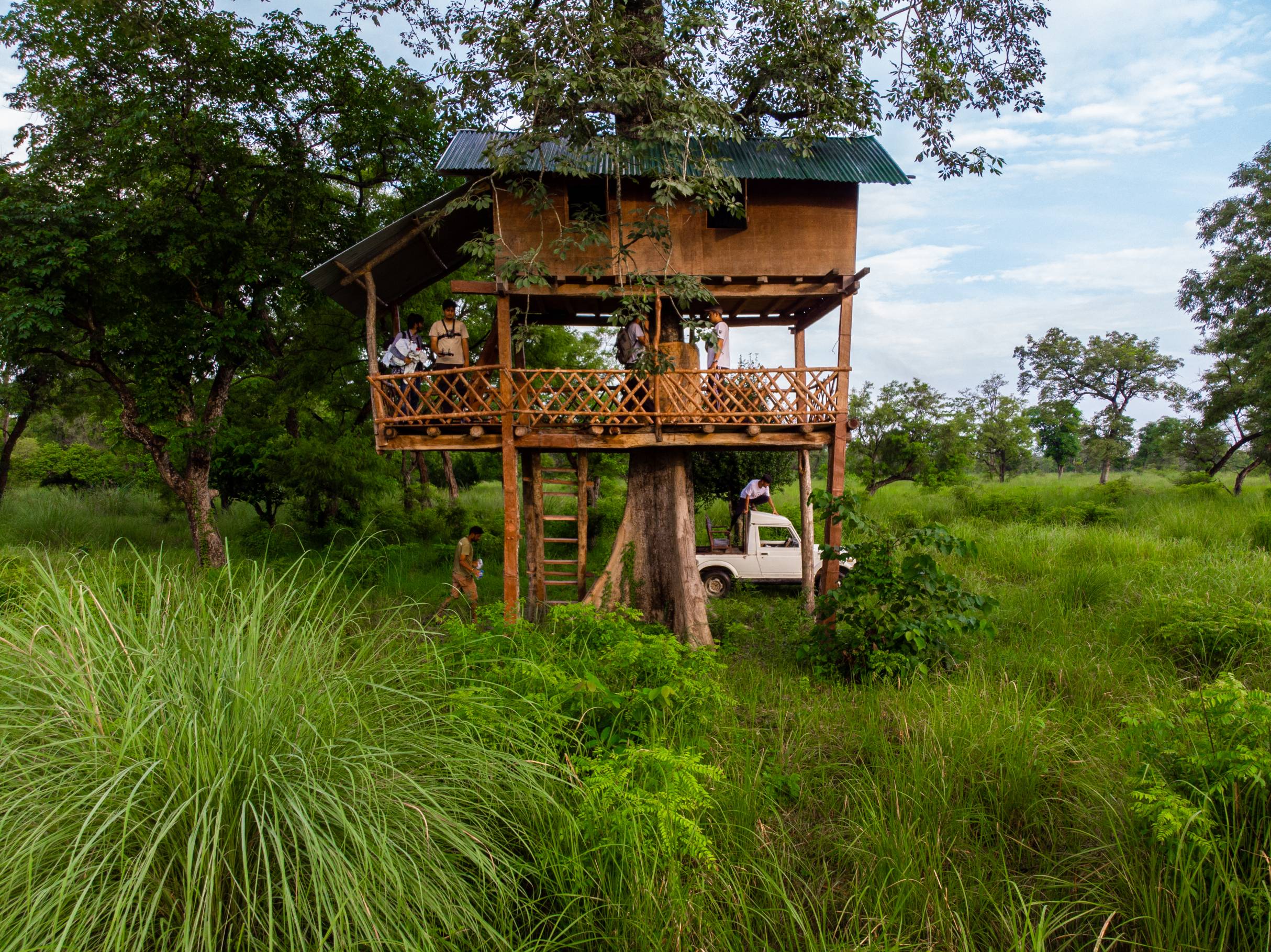 Treehouse Stay