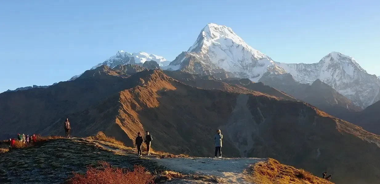 Panoramic view of hikers standing on the grassy ridge of Khopra Danda looking at the massive snow-capped peaks of Annapurna South and Hiunchuli in Nepal.