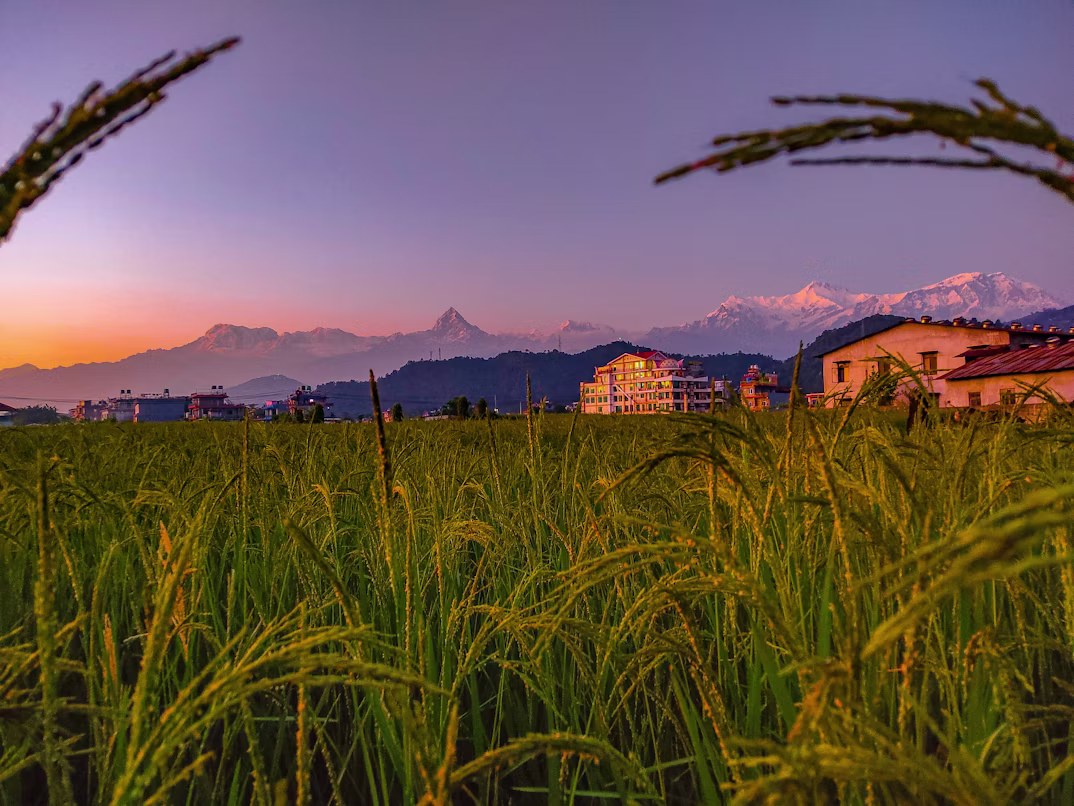 Pokhara Weather in June: Monsoon Onset Guide (Rain, Temps, Tips)