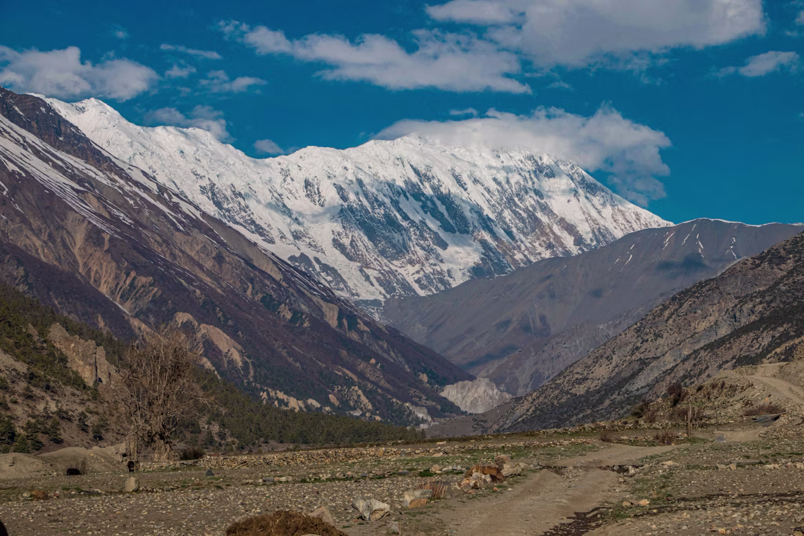 A rugged, unpaved dirt path winding through a deep valley toward massive snow-capped mountain ranges under a bright blue sky on the route to Tilicho Lake.